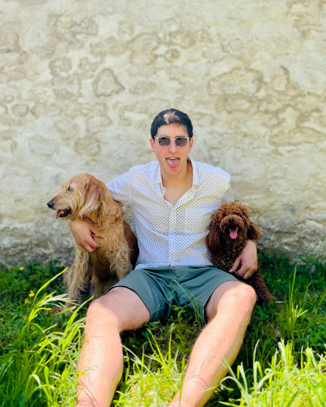 Samy assis dans l'herbe contre un mur de pierre, avec Lucy et un autre chien